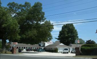 2. Twin Oak..