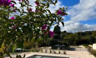 Villa Ada-Trulli Puglia