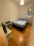 Room Grass