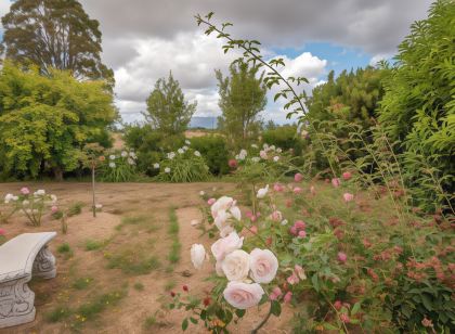 Glencoe Country Bed and Breakfast