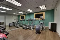 Holiday Inn Express & Suites Jacksonville North-Fernandina Hotels in Nassau County