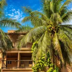Tukan Hotel Playa del Carmen Hotels near 5th Avenue (Avenida 5)