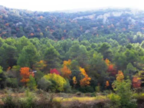 Residencial Alcoy Apartahotel Hotels in Alcoy