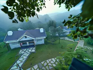 Jungle Bay Resorts & Spa