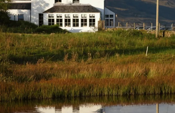 艾琳伊阿爾曼酒店