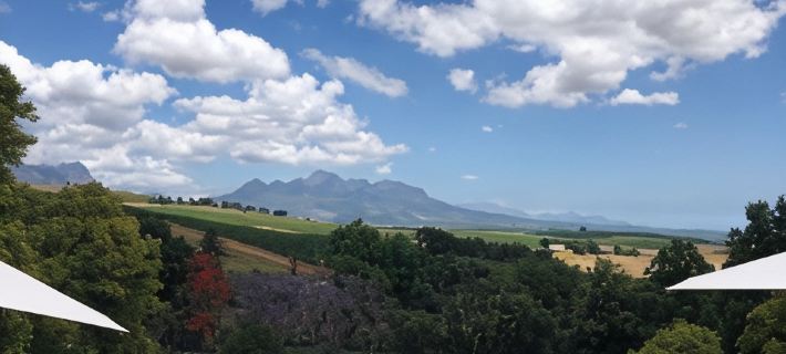 Sugarbird Manor Hotels in Stellenbosch