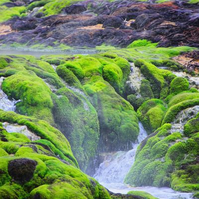 ホテル周辺 草津ナウリゾートホテルの写真
