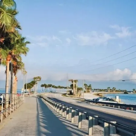 Charming condo close distance to Honeymoon Island!