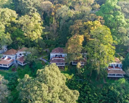 The Tall Trees โรงแรมในมันนาร์