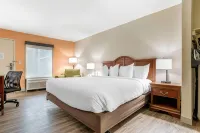 Econo Lodge Moss Point - Pascagoula Hotels in Pascagoula