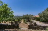 Casale Giancesare Villa Agricola - Villas