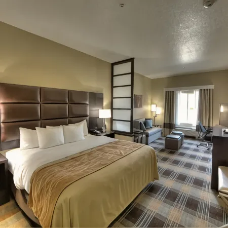 Comfort Inn & Suites Fort Worth West I-30 Nas JRB Отели в г. Уайт Сетлемент