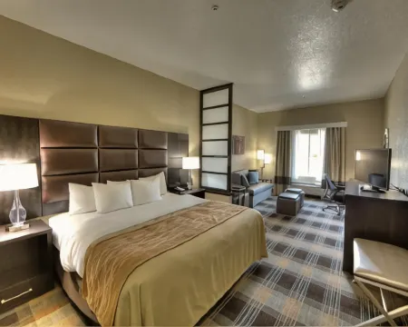 Comfort Inn & Suites Fort Worth West I-30 Nas JRB Hotels in White Settlement