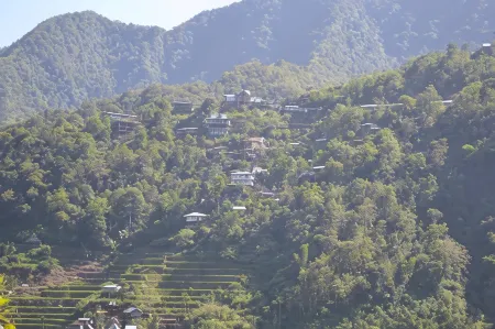 Batad View Inn and Restaurant Отели в г. Ифугао