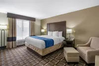 Comfort Inn Hotels in Sullivan