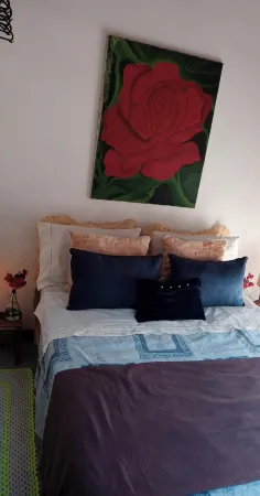 Guiding Star Cottage