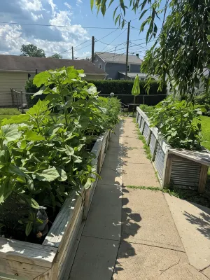 The Garden House - Renovated 2BR - Walk to LLWS - 3-Star