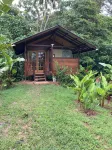 Tranquil Waterfall Studio, Oceanfront with Jungle Hiking and Starlink - 3-Star