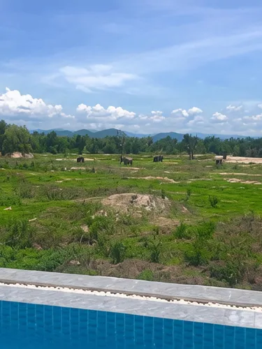 รูปภาพของI love phants Lodge