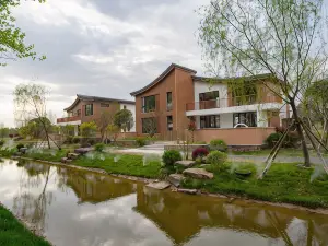 wild luxury Shanshu (Yellow Sea forest store in Dongtai)