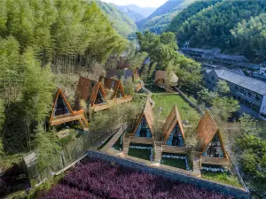 Tree Wow (Yuyao Store)