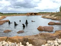 Hex Wildlife Hotel at Yorkshire Wildlife Park Hotels in Doncaster