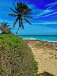 Sea cottage 2/1 in white sound on GTC Abaco Bahamas full kitchen, AC & WiFi