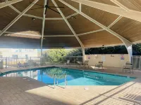 Laid back ocean front condo with tons of extras! All fall dates on sale! - de playa