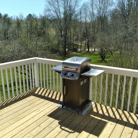 Nicely located, Cozy, PET Friendly cottage in beautiful Lake Toxaway, NC Отели в г. Хогбек