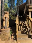For the discerning guest. Cabin at Lilac Terrace 🌲⛷️with summer TH Lake Access. - 2-Star