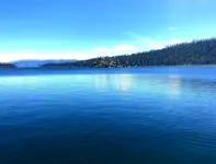 Fun and Relaxing in Tahoe City!Taxes Are Included.