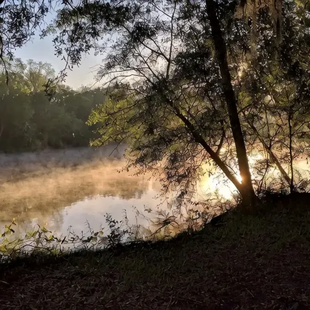 Serenity Springs On The Suwannee Cabin #1 Отели в г. Дикси