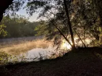Serenity Springs On The Suwannee Cabin #1 - Homestays