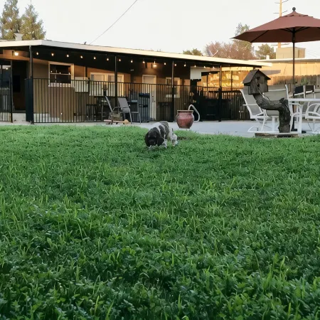 Tulare’s RARE FIND with a pool! Located in the Heart of California’s farmlands!