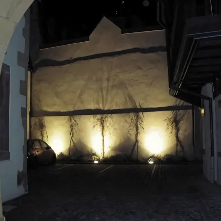 TOURIST RENTAL HISTORIC CENTER COLMAR