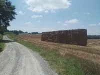 Châlet en Gascogne - ชาเลต์