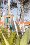 Santa Cruz Surf House by Stoke Travel