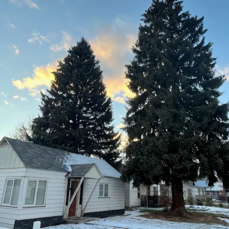 Salmon Goldbug Cottage, hot tub sleeps 8