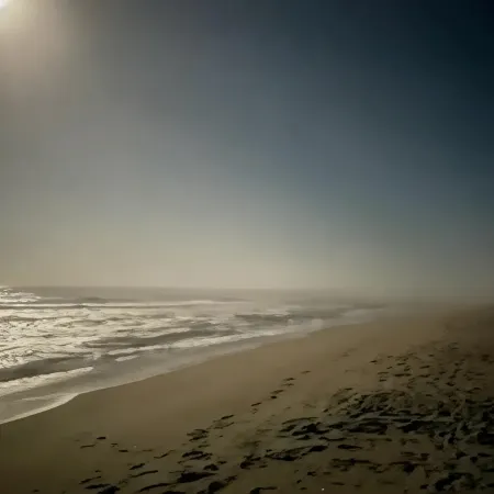 Cheerful, Semi Oceanfront, pet friendly, w/pool