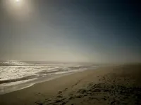 Cheerful, Semi Oceanfront, pet friendly, w/pool
