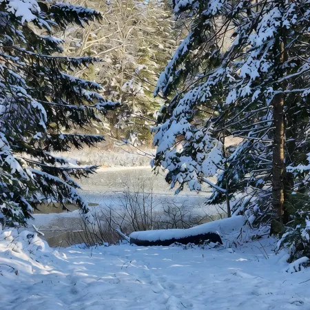 New Cabin on Pennamaquan River. Relax in comfort and privacy .