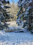 New Cabin on Pennamaquan River. Relax in comfort and privacy . - Wifi