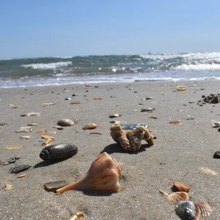 Tranquil Tides Retreat in Frisco, Outer Banks, North Carolina!