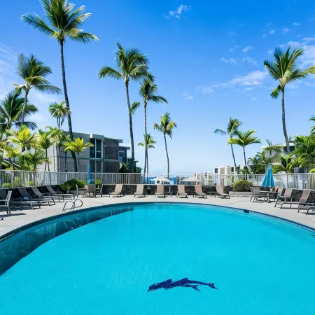 Super Clean~Ocean Front! Watch Whales & Dolphins While Having Your Coffee