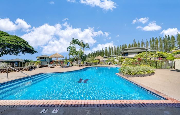 Designer Kapalua Golf Villa, Ocean & Golf Views, Walk to Kapalua Bay, 3Br/4BA