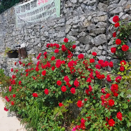 Yecheon Water Clear Mountain Pension