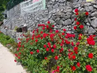 Yecheon Water Clear Mountain Pension - 2-Star