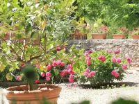 Residenza d'epoca Il Cassero Hotel a Lucignano