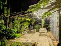 Coco Happy Farm - Wifi