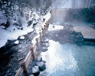 トムラウシ温泉東大雪荘 - 温泉